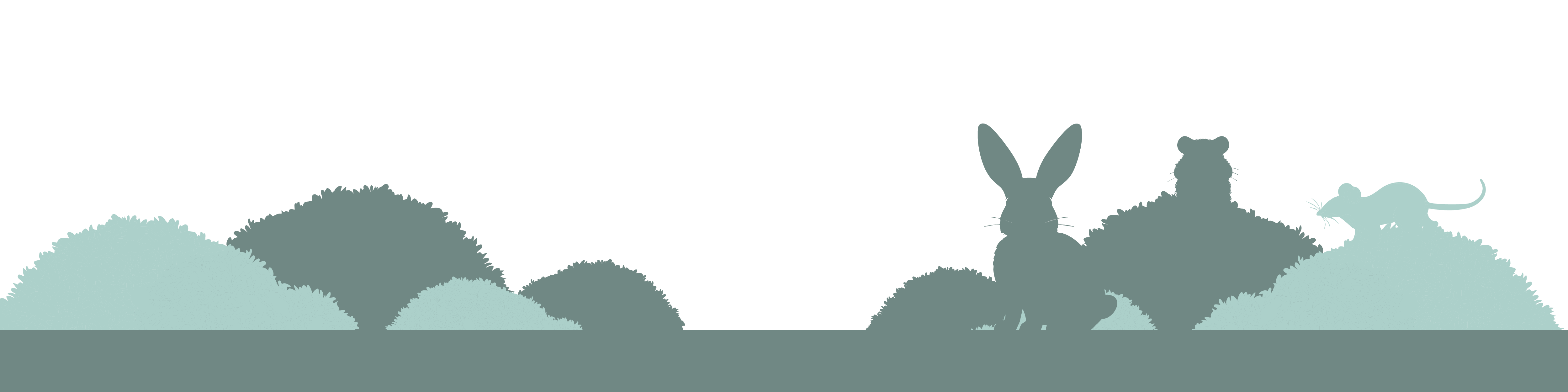 Kurk en mos producten